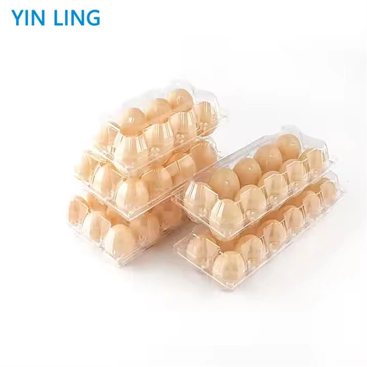 Clear Plastic Egg Cartons
