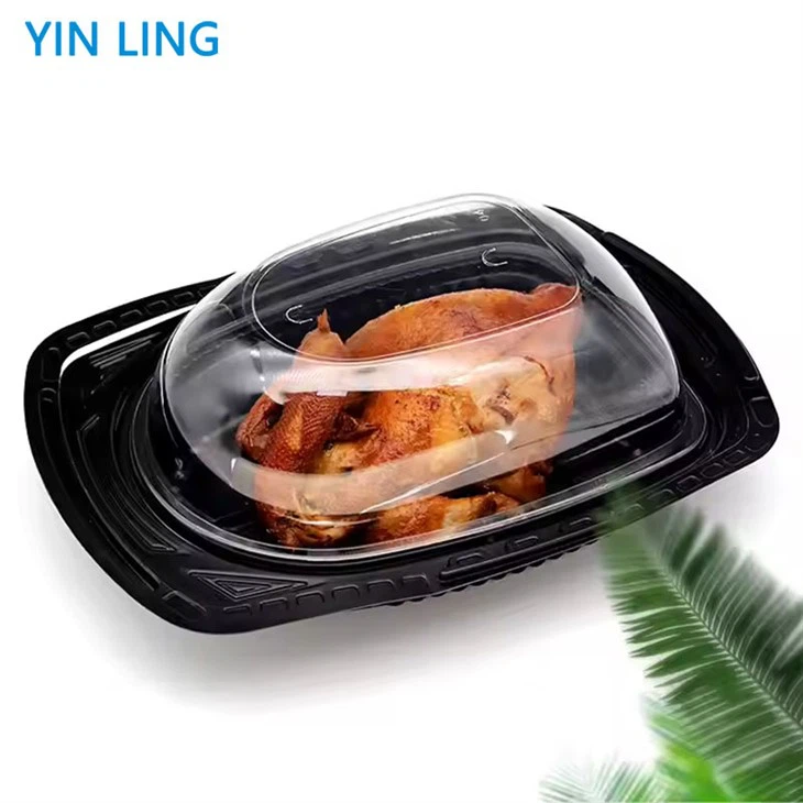 Plastic Box For Roasted Chicken