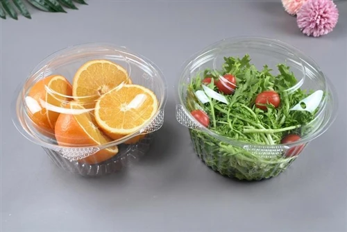 Which Type Of Plastic Food Container Is Best Suited For Takeout Packaging?